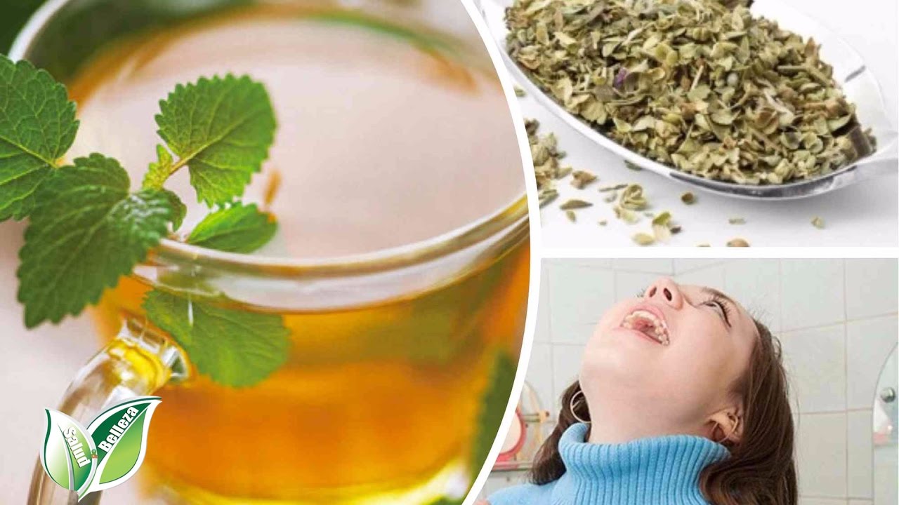 Infusión de orégano ¡Beneficios y Propiedades! 【2019】 Infusión de orégano ¡Beneficios y Propiedades! 【2019】