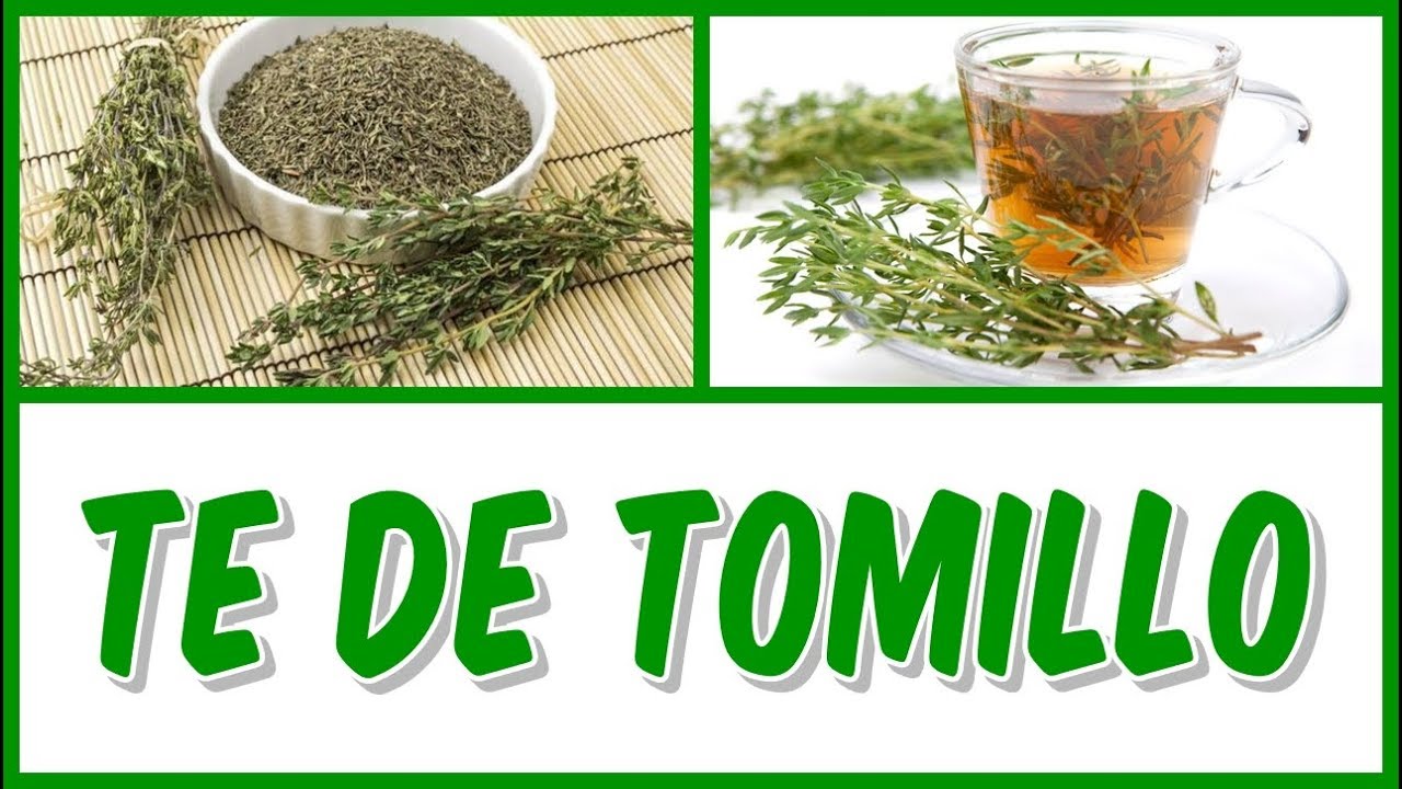 Infusión de tomillo ¡Beneficios y Propiedades! 【2019】 Infusión de tomillo ¡Beneficios y Propiedades! 【2019】