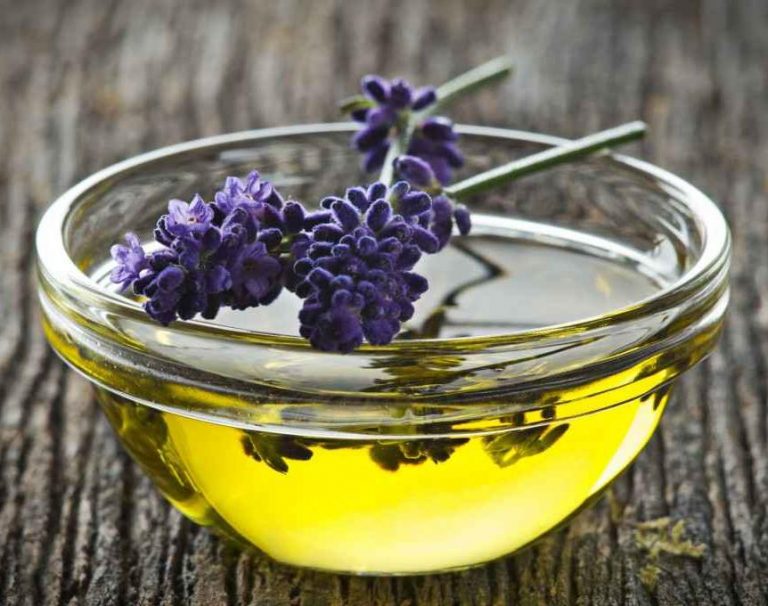 Infusión De Lavanda ¡beneficios Y Propiedades 【2019】 5841