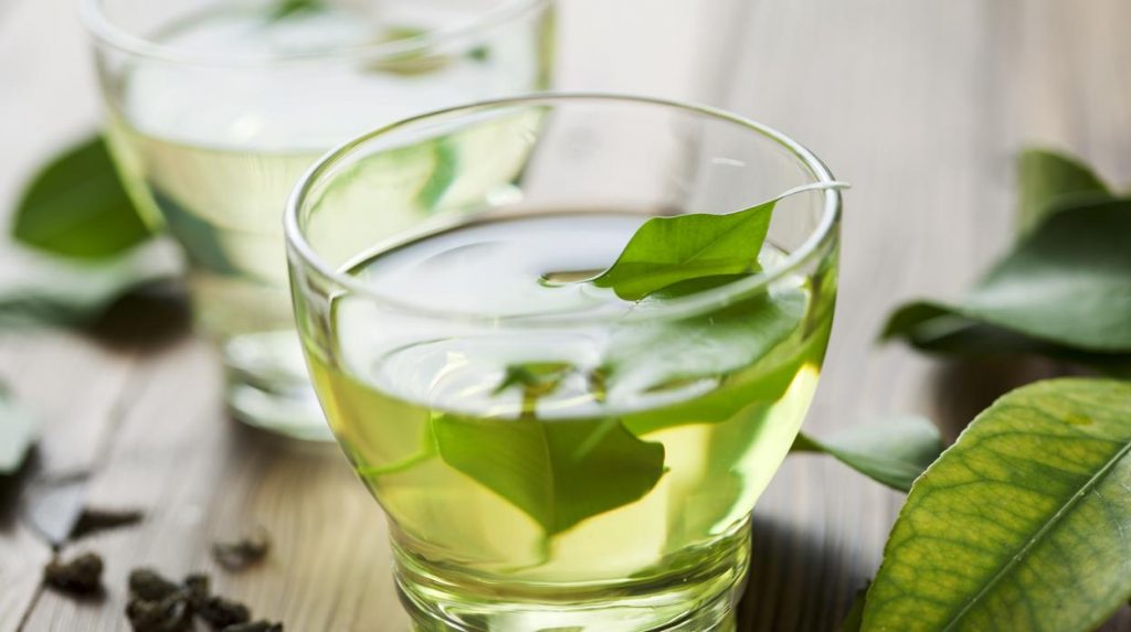 Infusión de Hojas de Té Verde y Menta: El Elixir Revitalizante que Necesitas en tu Día a Día